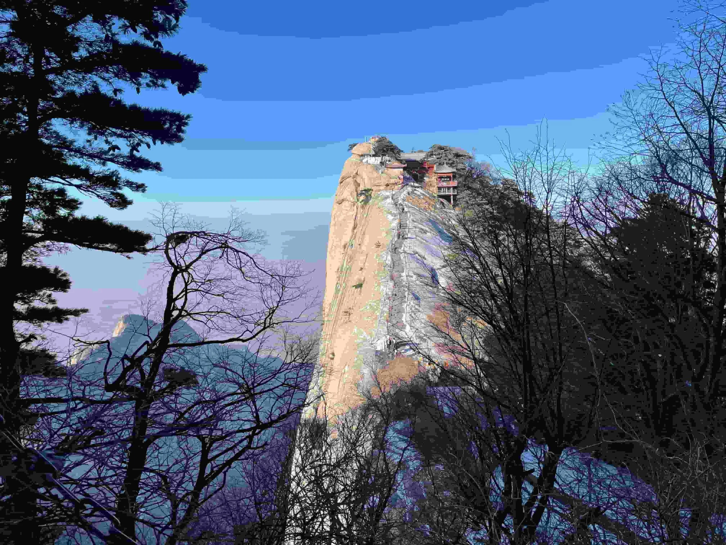 Snow-covered mountain slopes with dark trees at the base and a steep rock face to the right, under a clear blue sky.