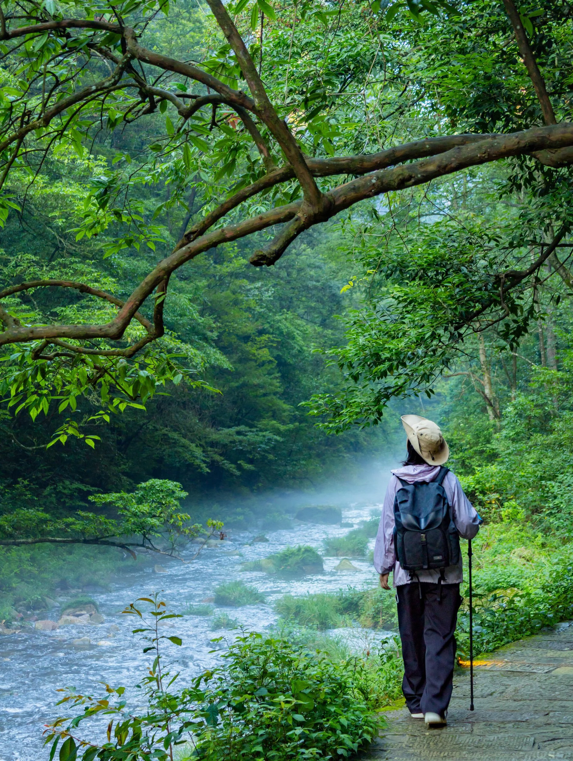 Zhangjiajie 5-Day, 4-Night Tour