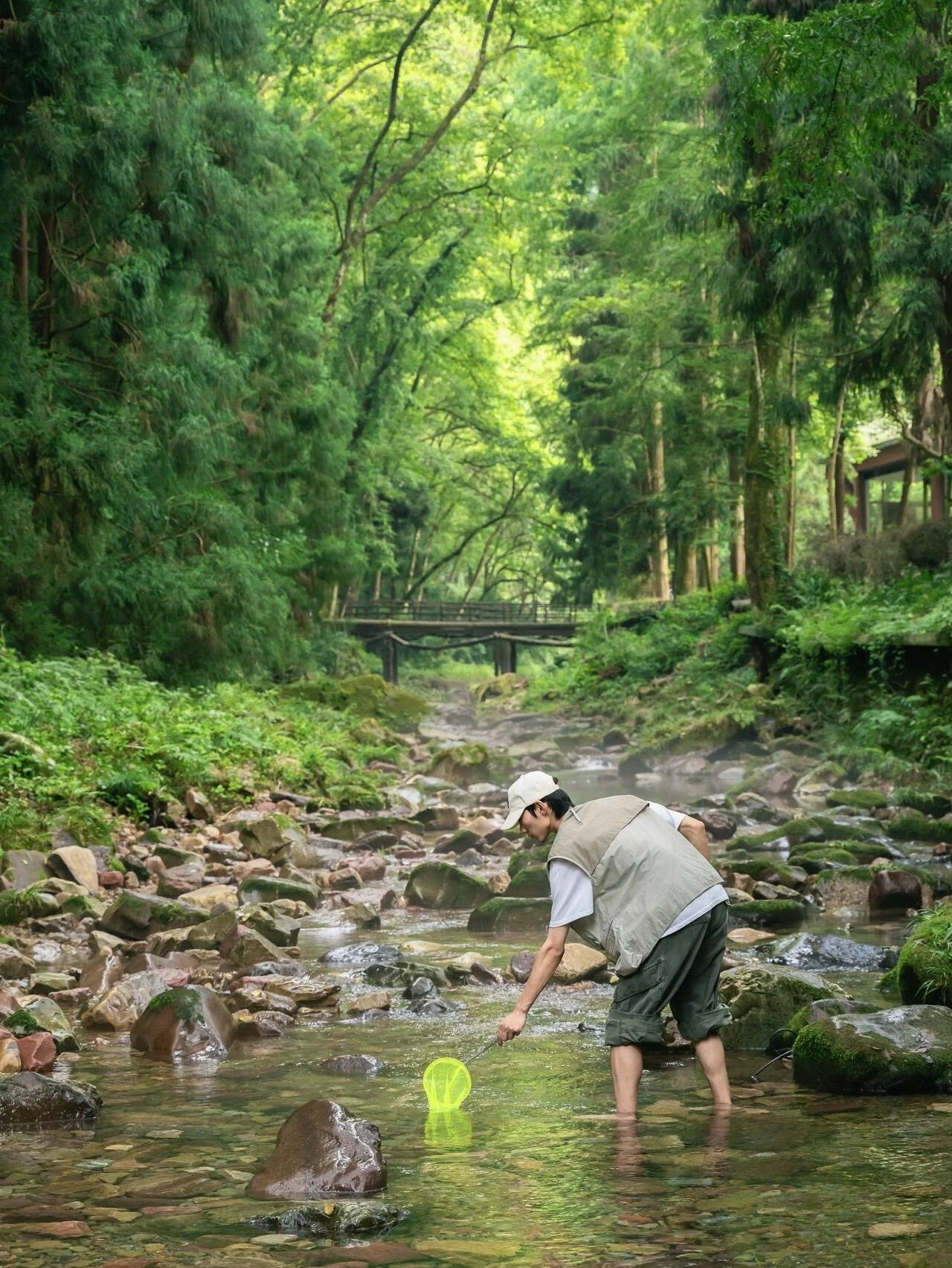 A person fishing in a shallow stream in a lush green forest with trees and a wooden bridge in the background.