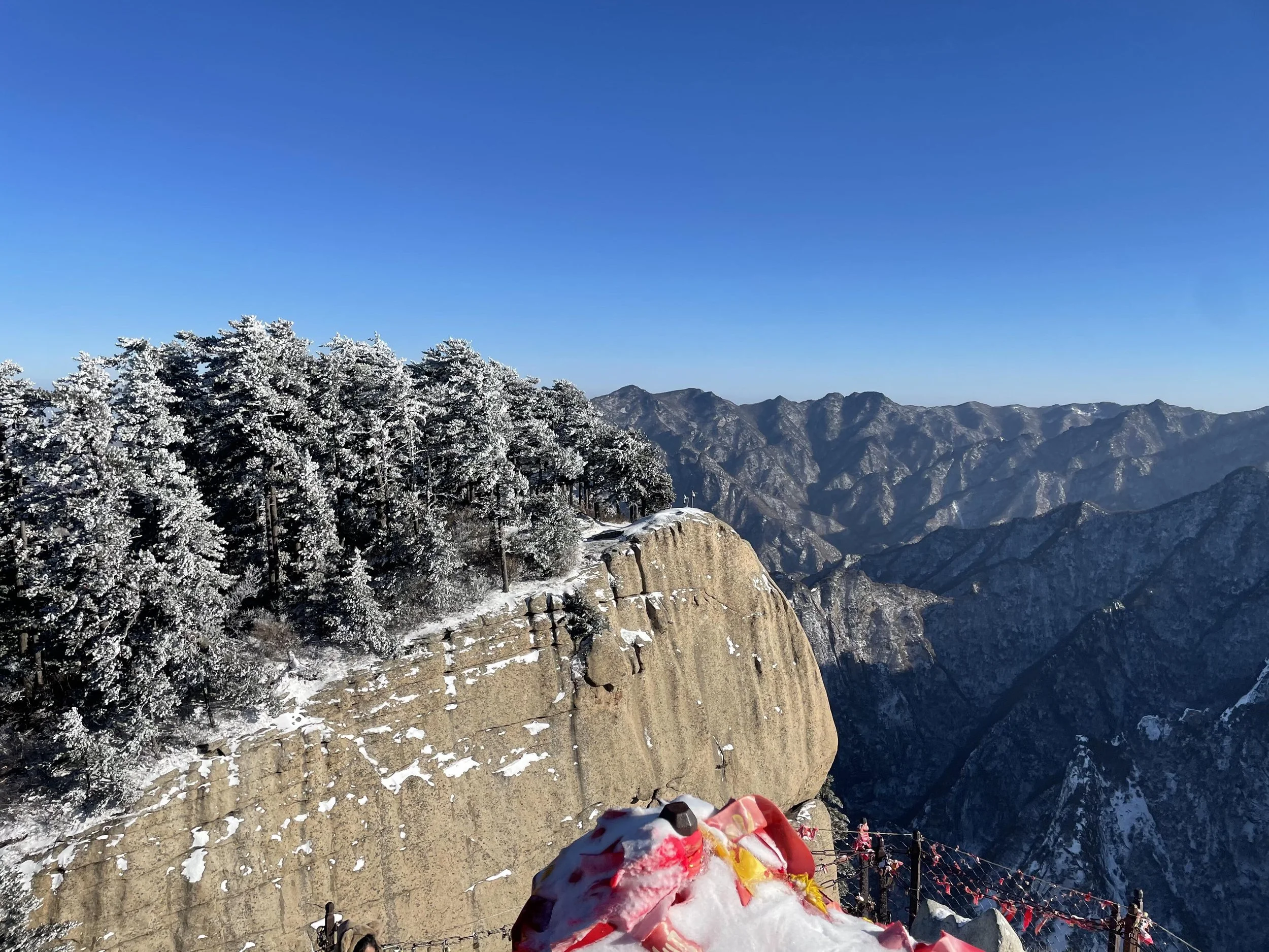 Snow-covered trees on a mountain ridge with distant mountain peaks and a clear blue sky in the background.