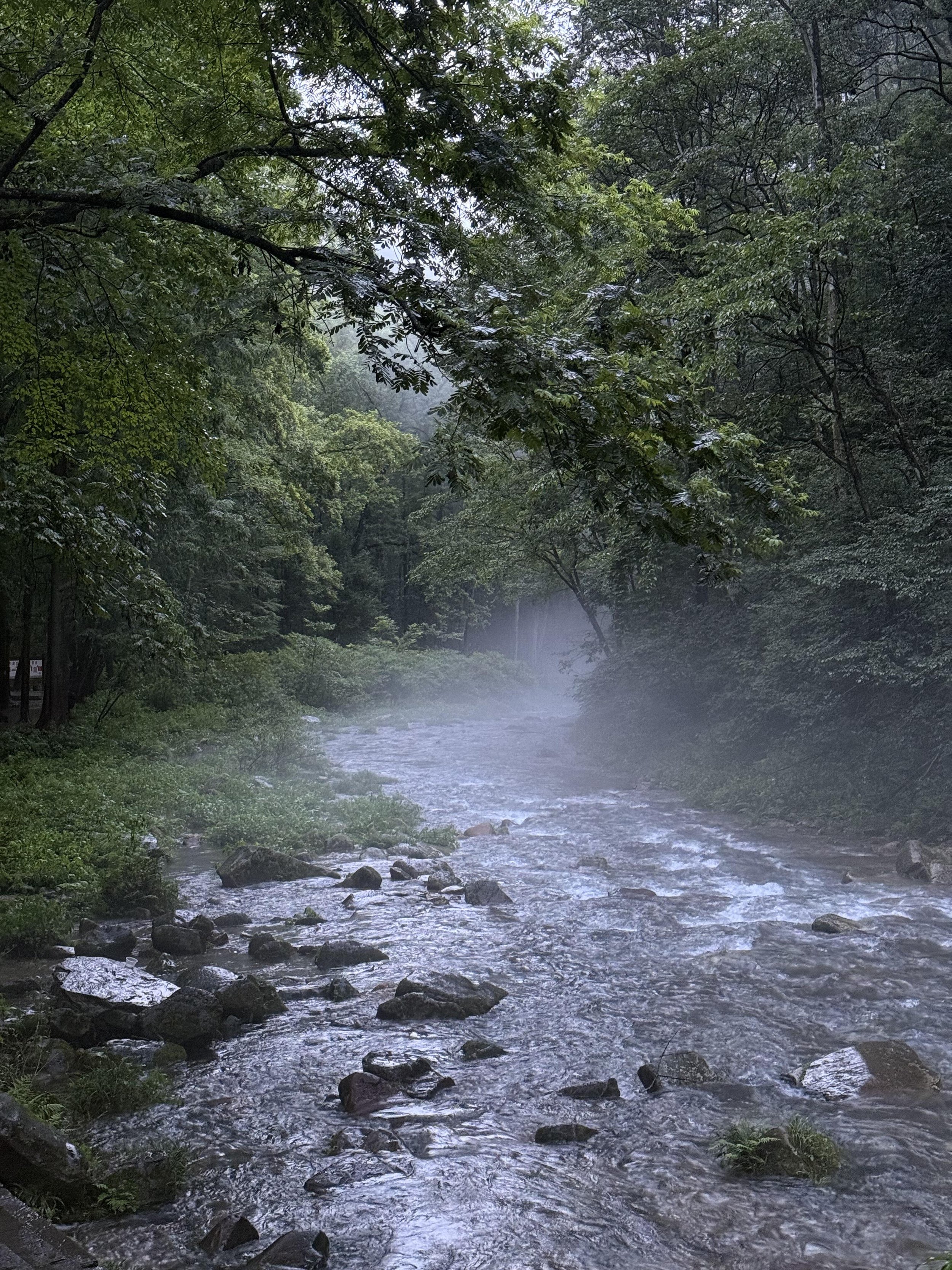 e222066f6dd20249d5d964879058d24a.jpg