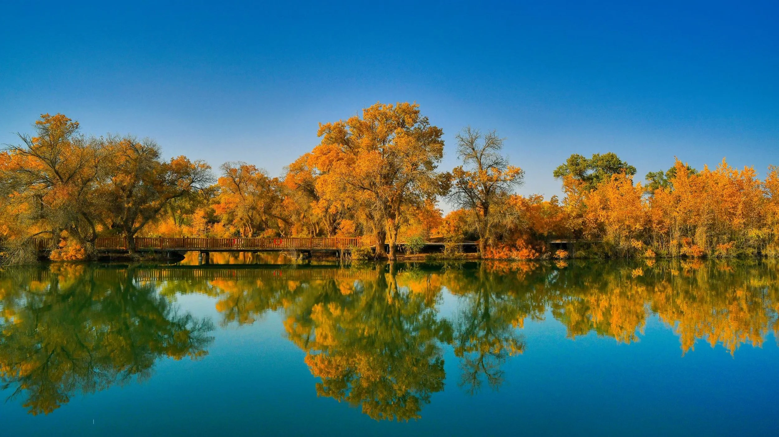 Autumn trees with yellow and orange leaves reflected in a calm pond, with a wooden bridge and clear blue sky in the background.
