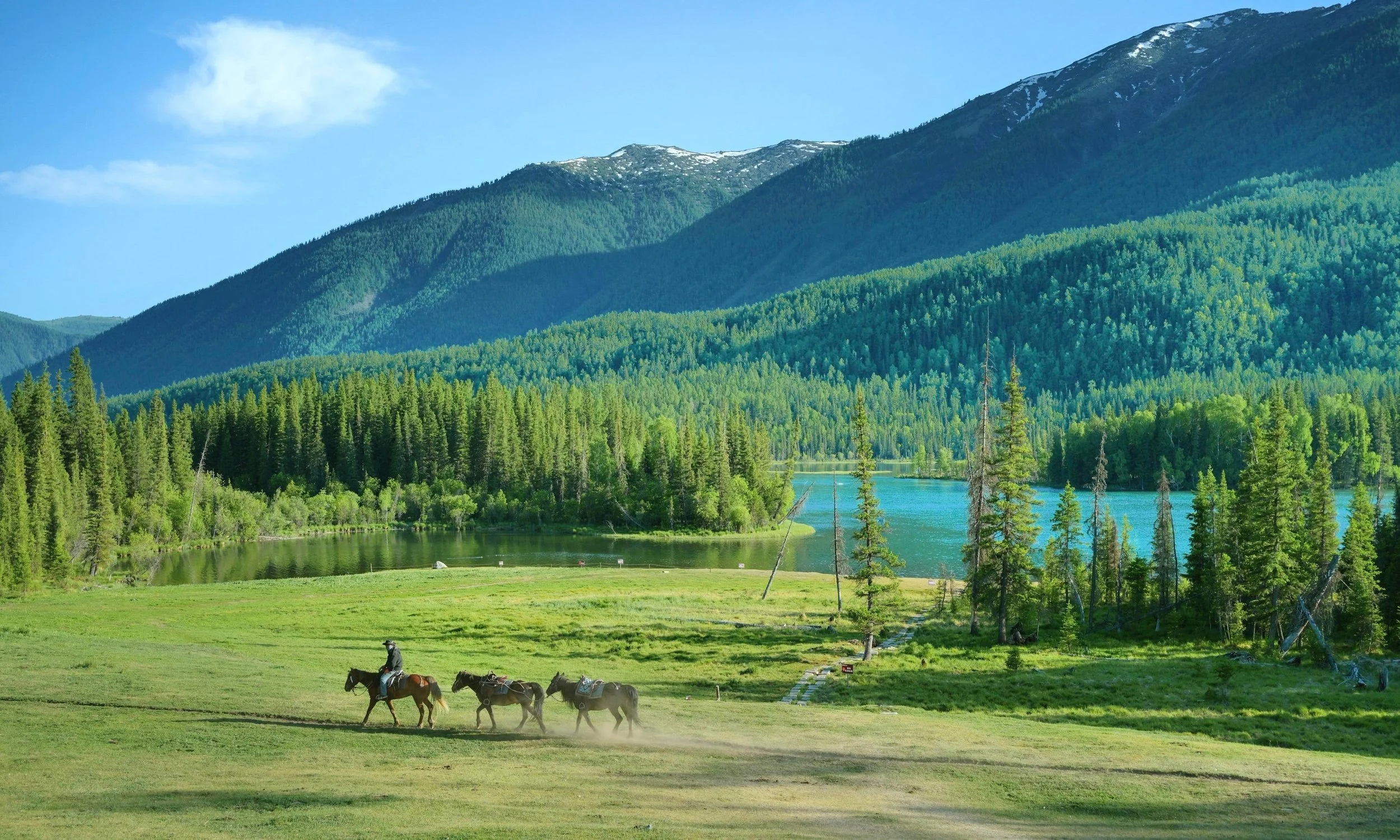 A scenic landscape with green forested mountains, a blue lake, and a grassy field in the foreground. A person is riding a horse, and there are three horses walking nearby.