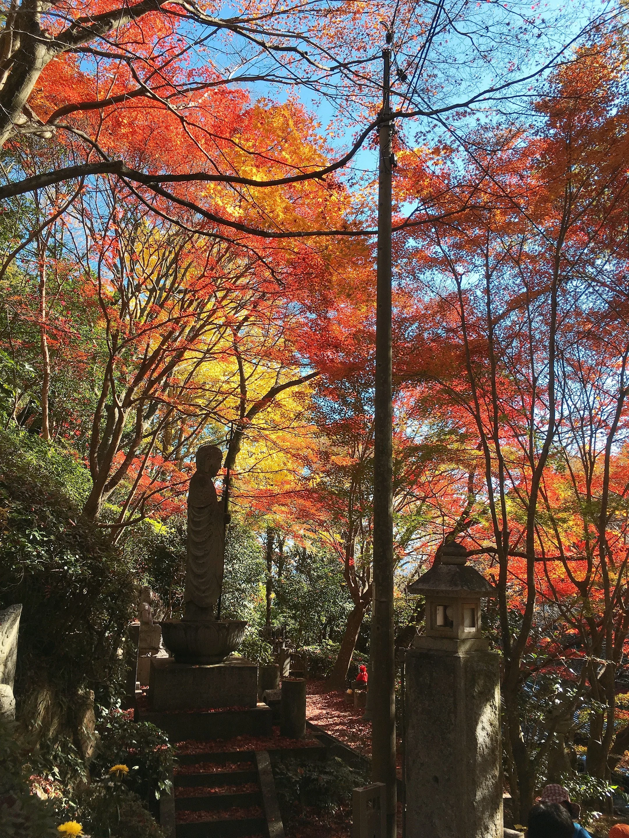 Mitaki-dera: Hiroshima's Hidden Temple Away from the Crowds