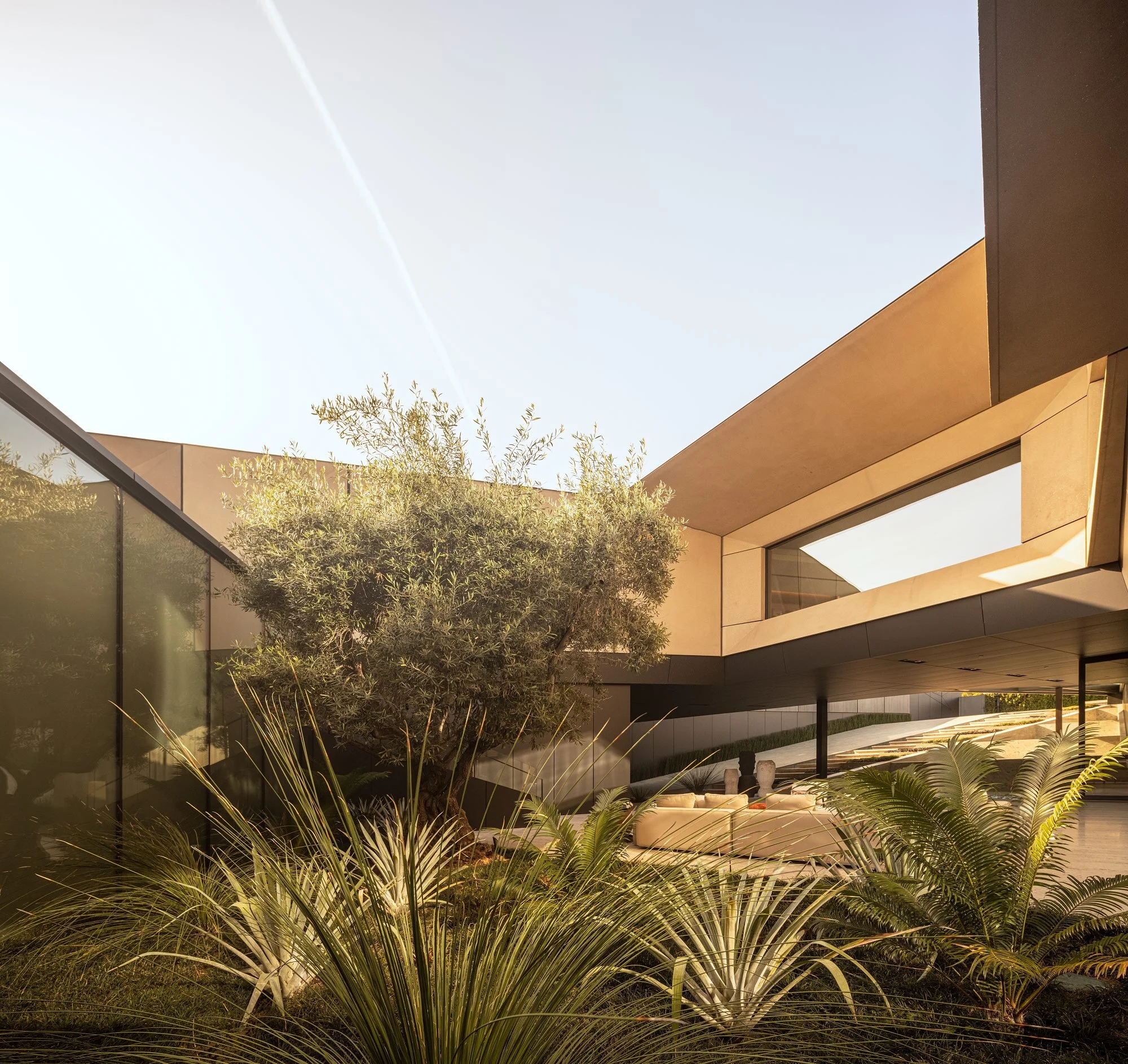 Donaldson+Partners-Facet House-Beverly Hills-Courtyard Garden-Tree-Concrete Panels.jpg
