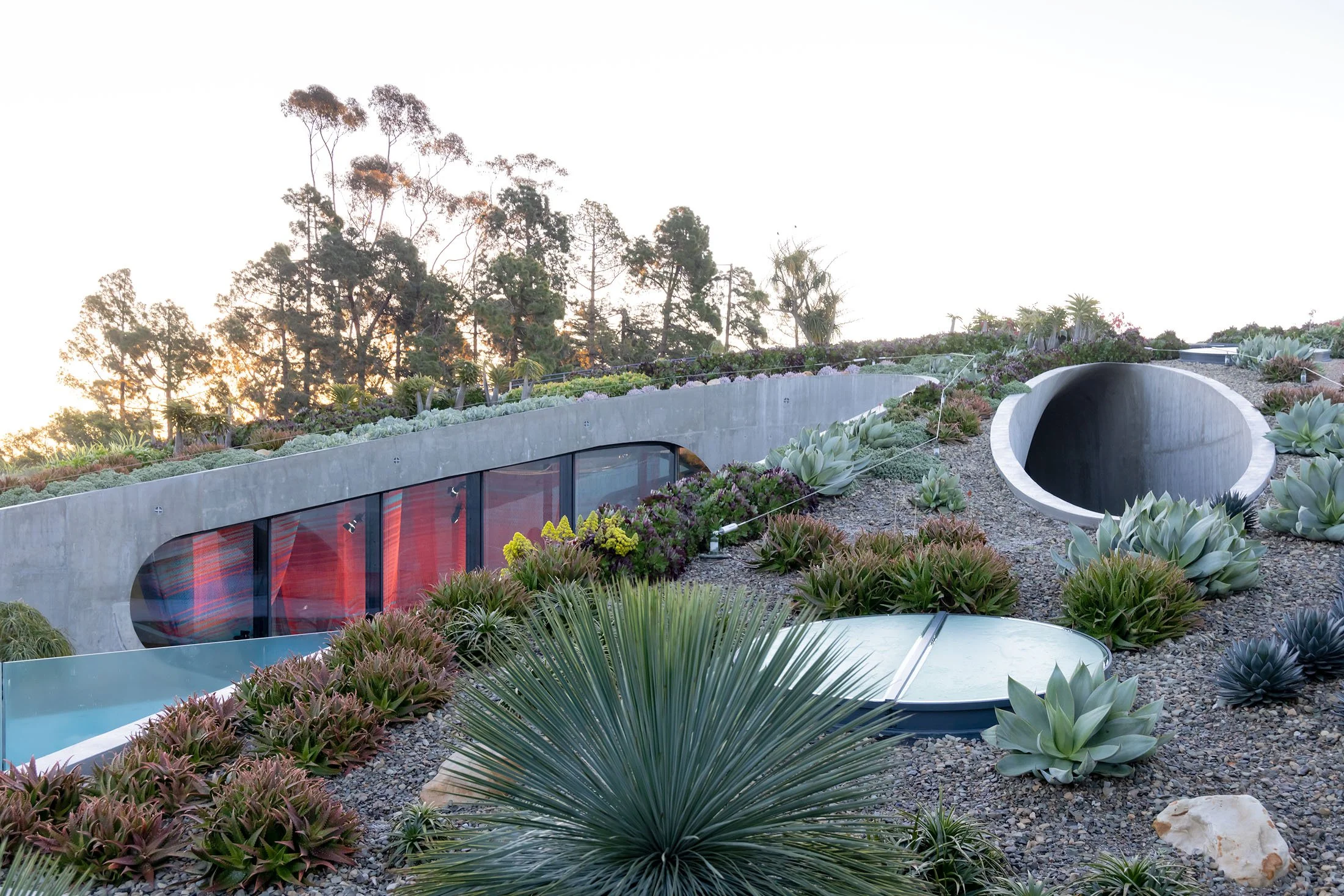 A modern building with a curved outer wall, surrounded by desert plants and succulents, with tall trees in the background and a clear sky at sunset.