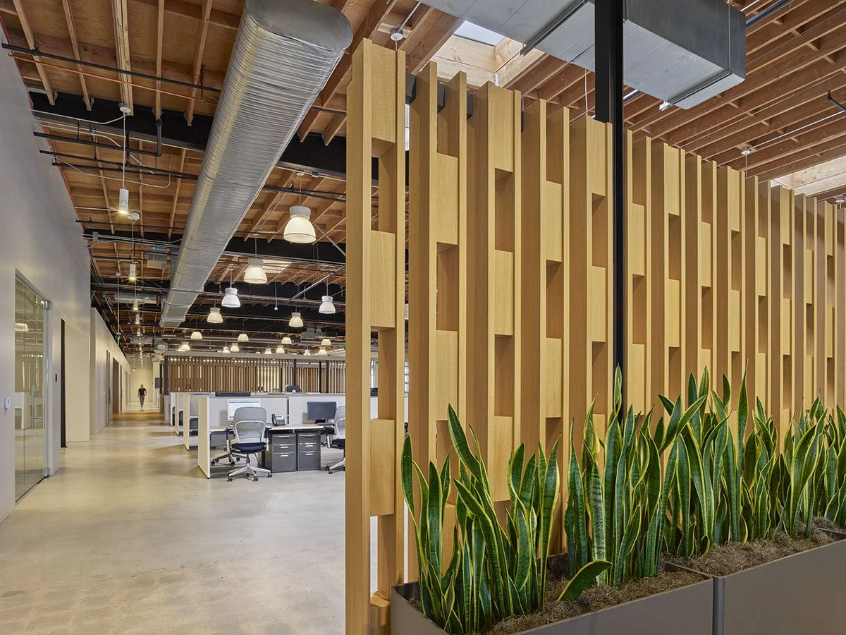 esalon-el-segundo-open-office-timber-screen.jpg