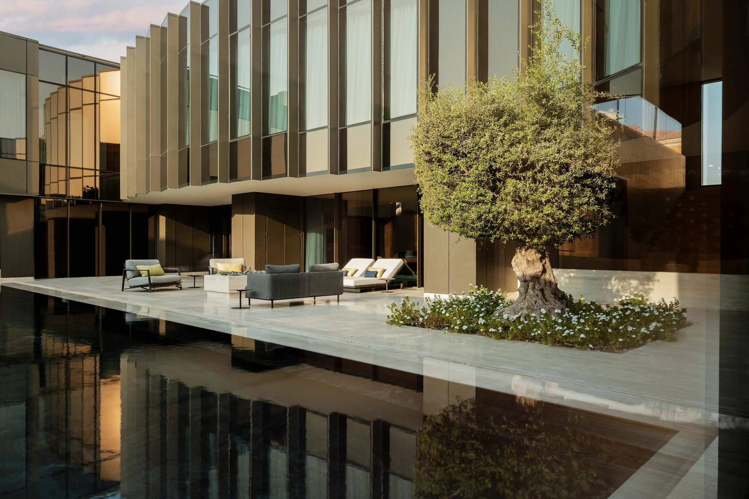 donaldson-partners-dune-house-dubai-courtyard-olive-tree.jpg