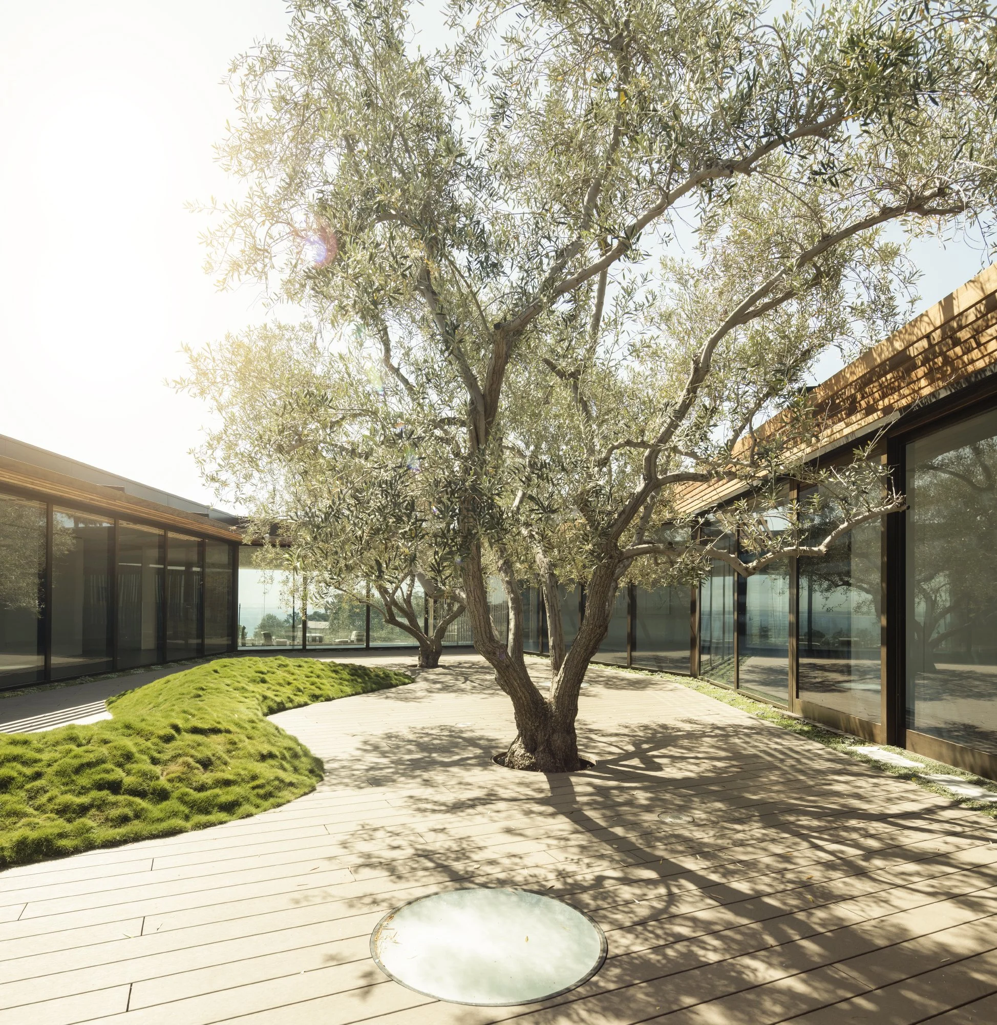 donaldson-partners-tramonto-residence-pacific-palisades-landscape-courtyard-view.jpg