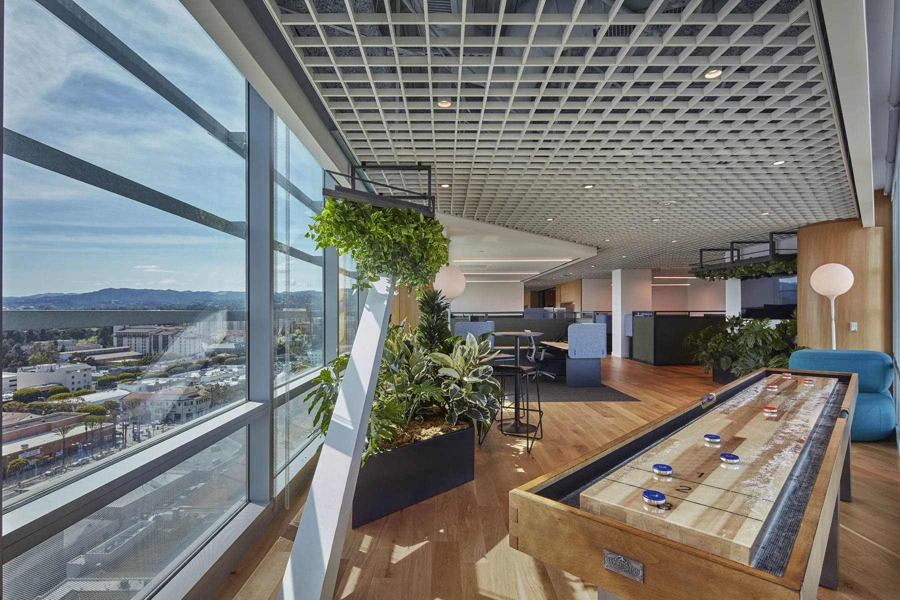 shamrock-capital-biophilic-open-workplace-westwood.jpg