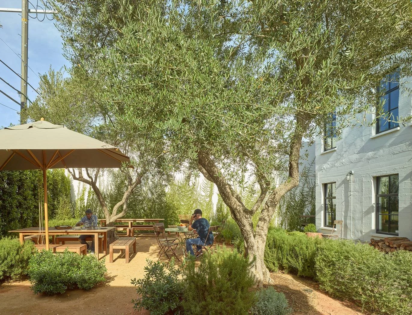 smuggler-hollywood-creative-office-landscaped-olive-tree-courtyard.jpg