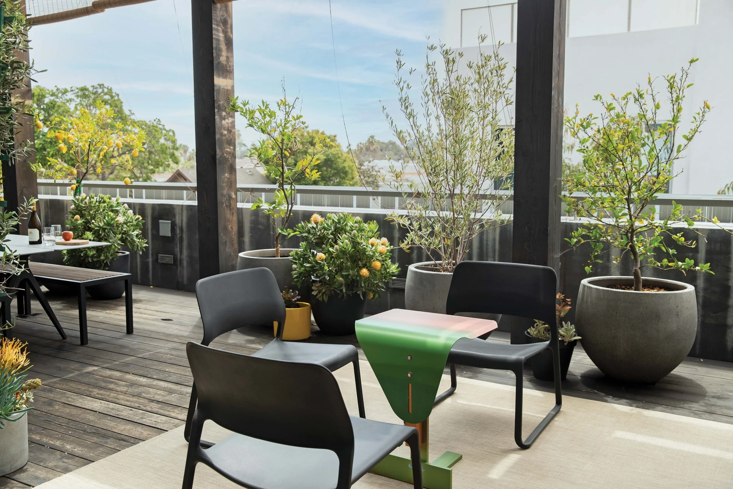 anacapa-townhouse-terrace-citrus-garden.jpg