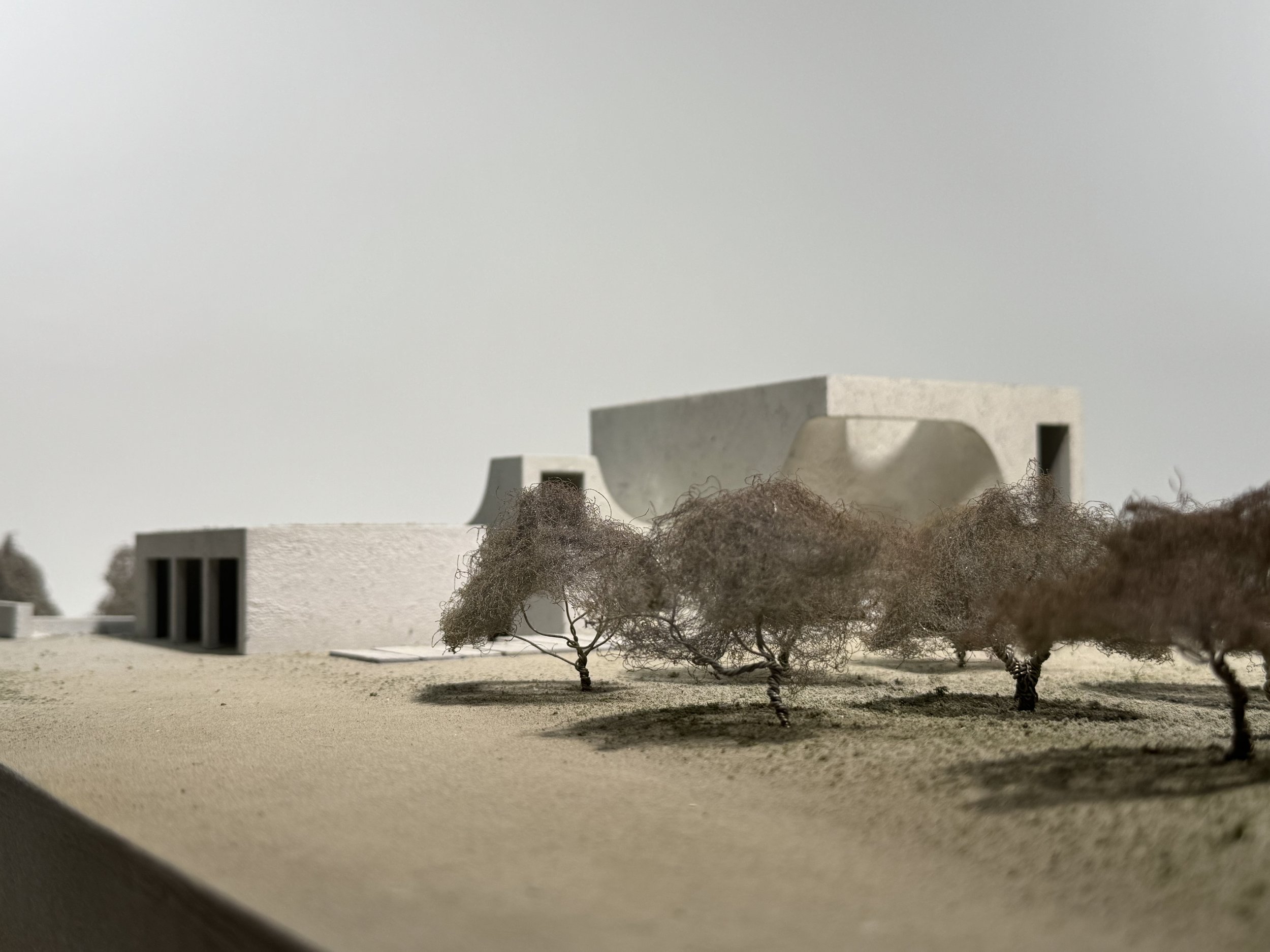 donaldson-partners-casa-alegre-model-olive-grove.jpg