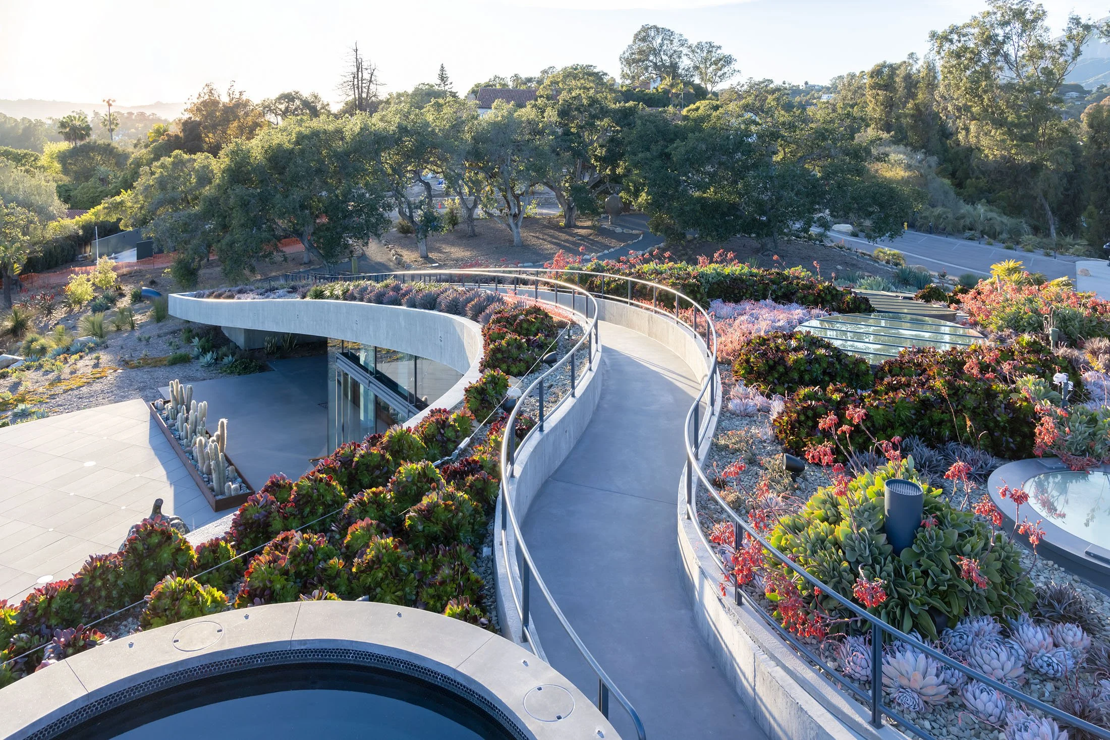 A modern outdoor space with a curved pathway cut through drought-tolerant plants, succulents, and colorful flowers, surrounded by large trees and overlooking a hillside.