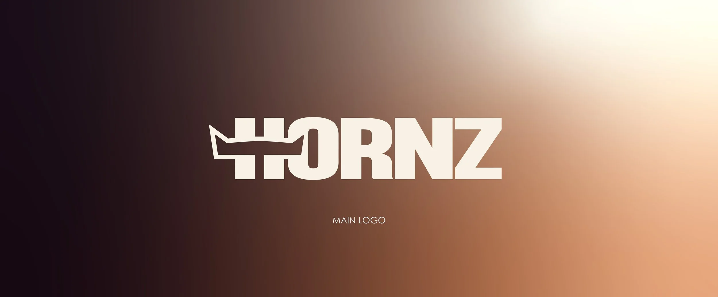 Hornz Portfolio-1.jpg