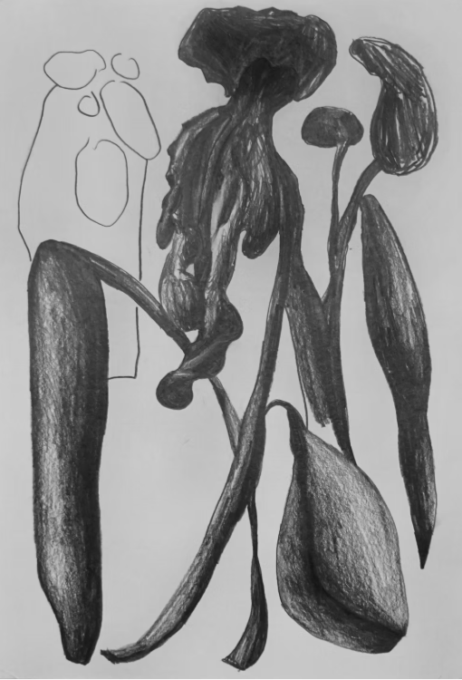 Or Flowers in The Dark_2020.png