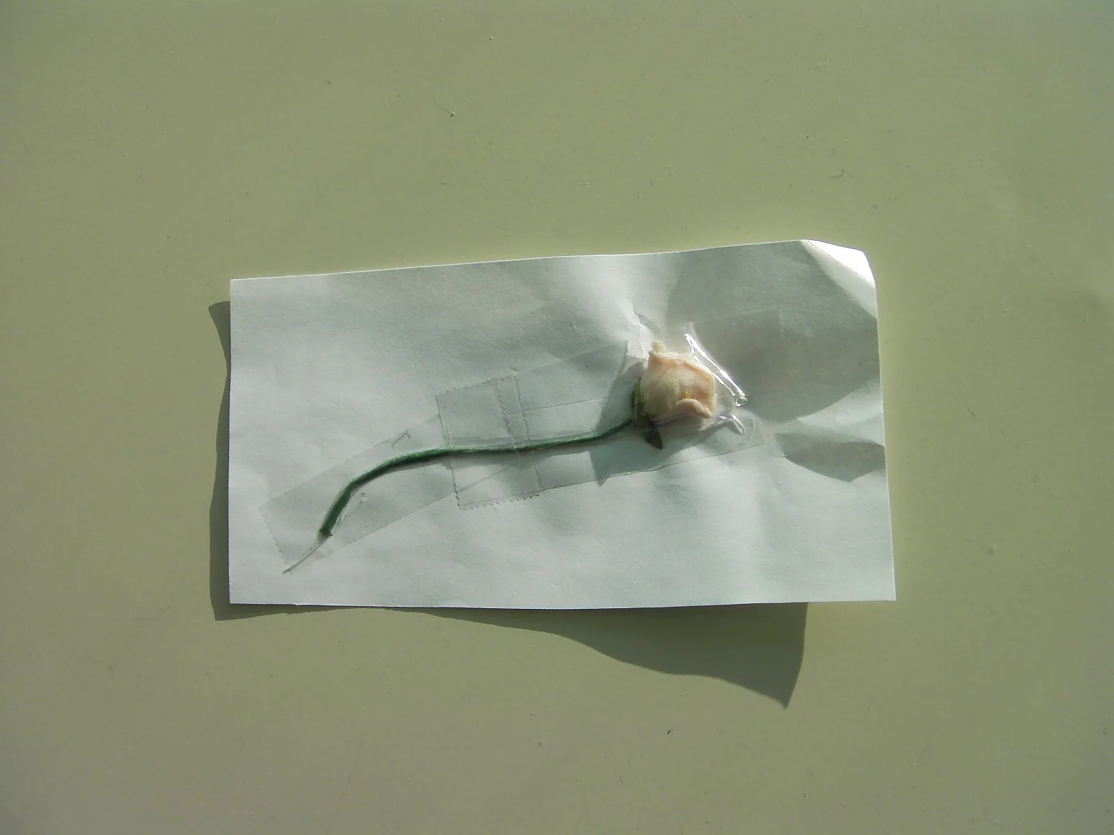 fake flower gesture series-Enshrine the fake_2011.JPG