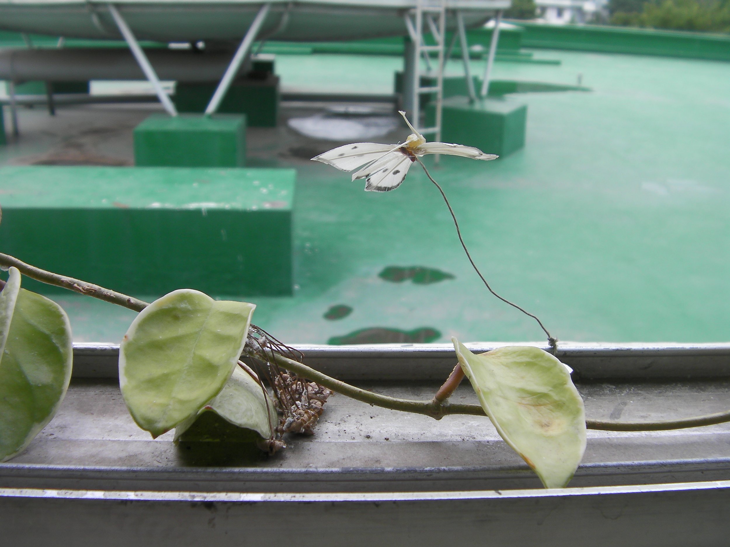 당신이용감하다면_2011 (6).JPG