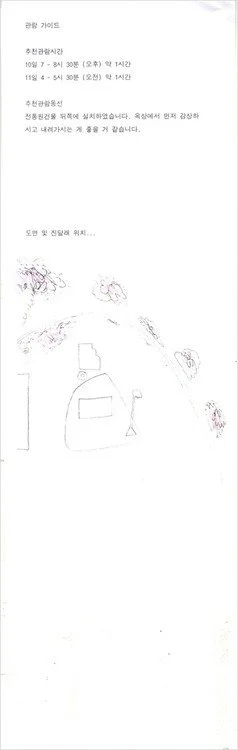 the azalea_2010_3.jpg