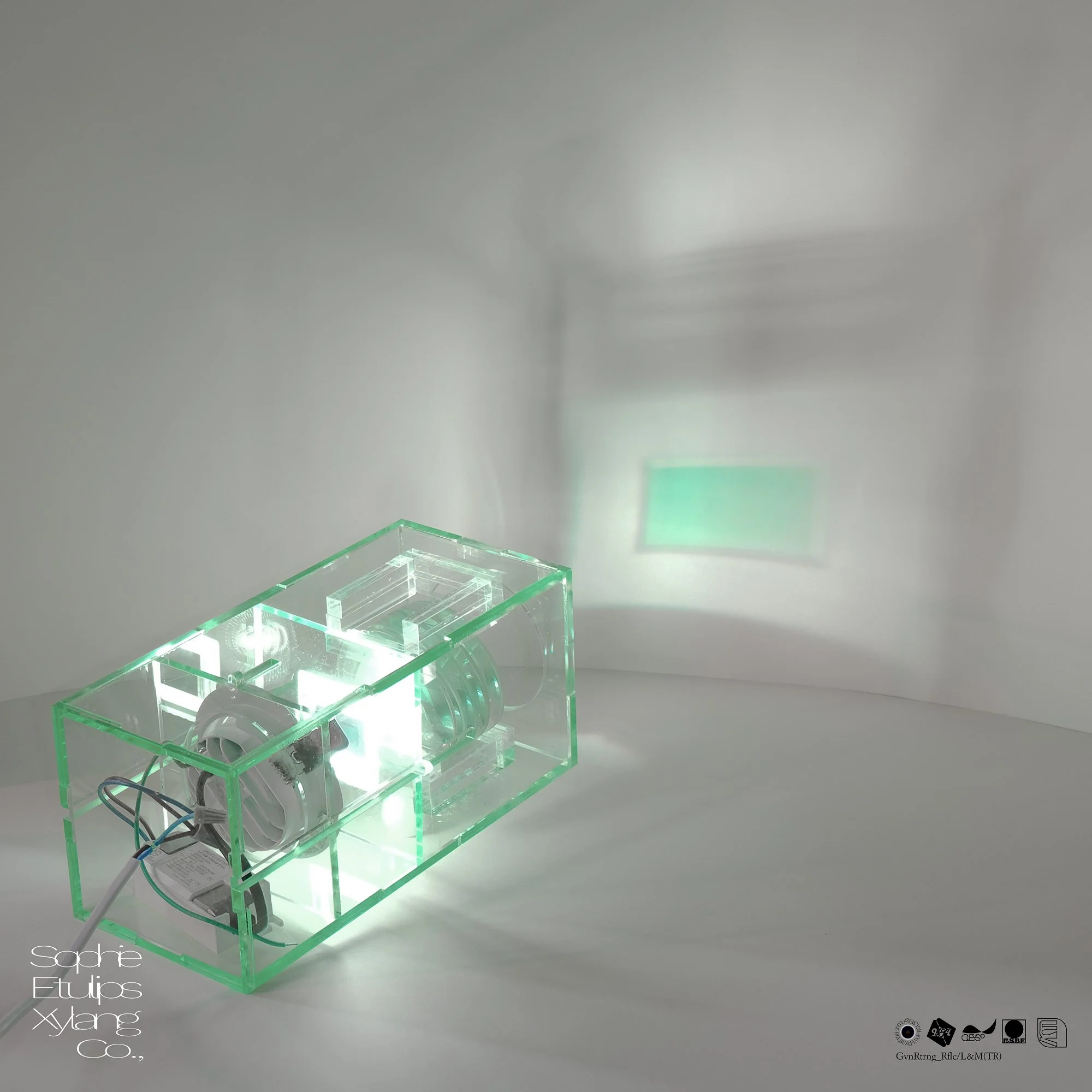 our the only media with Sophie Etulips Xylang Co., ... Light, 2021, convex lens, acrylic, slide film, 115x 115x245mm.