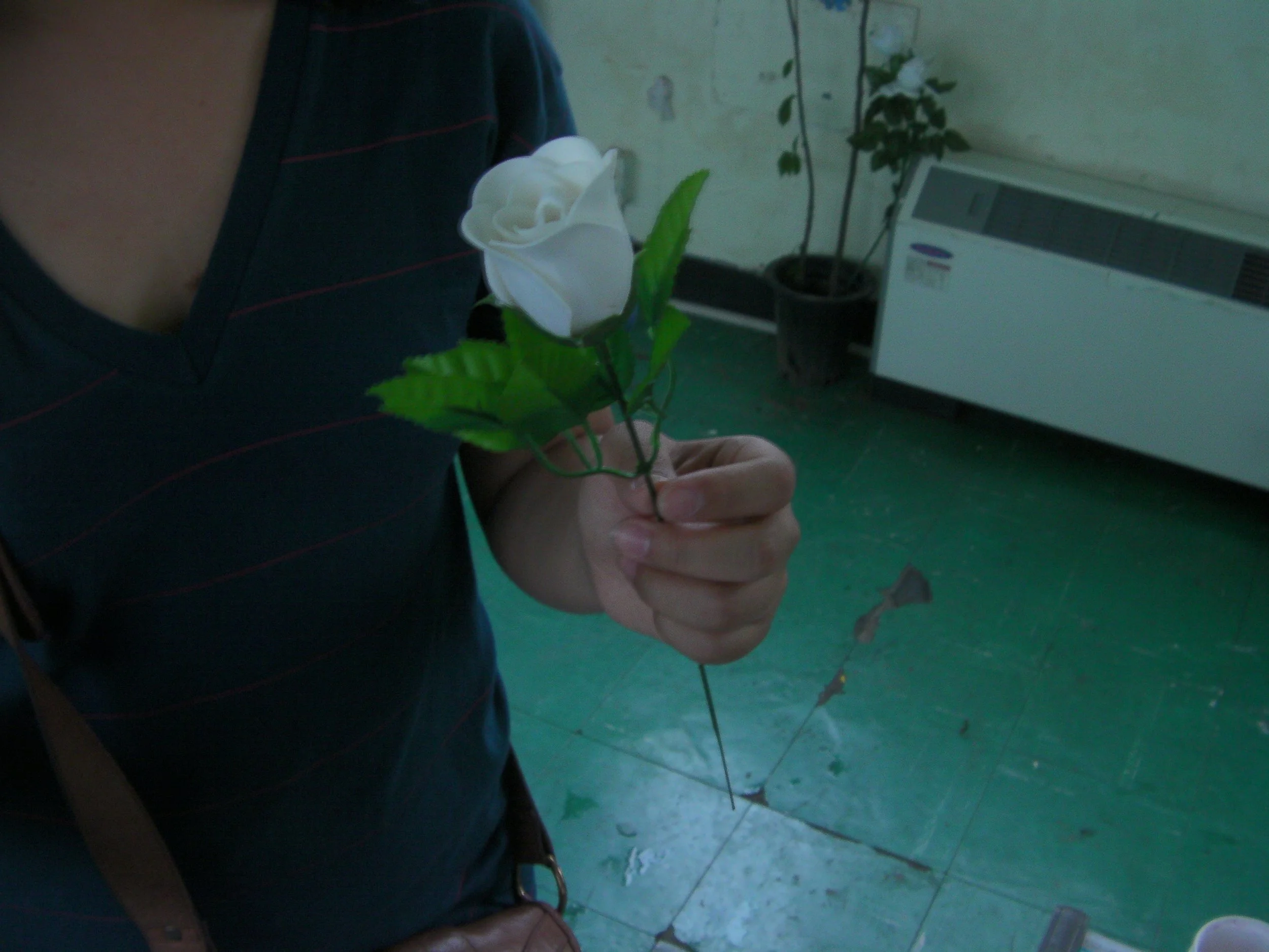 당신이용감하다면_2011 (2).JPG