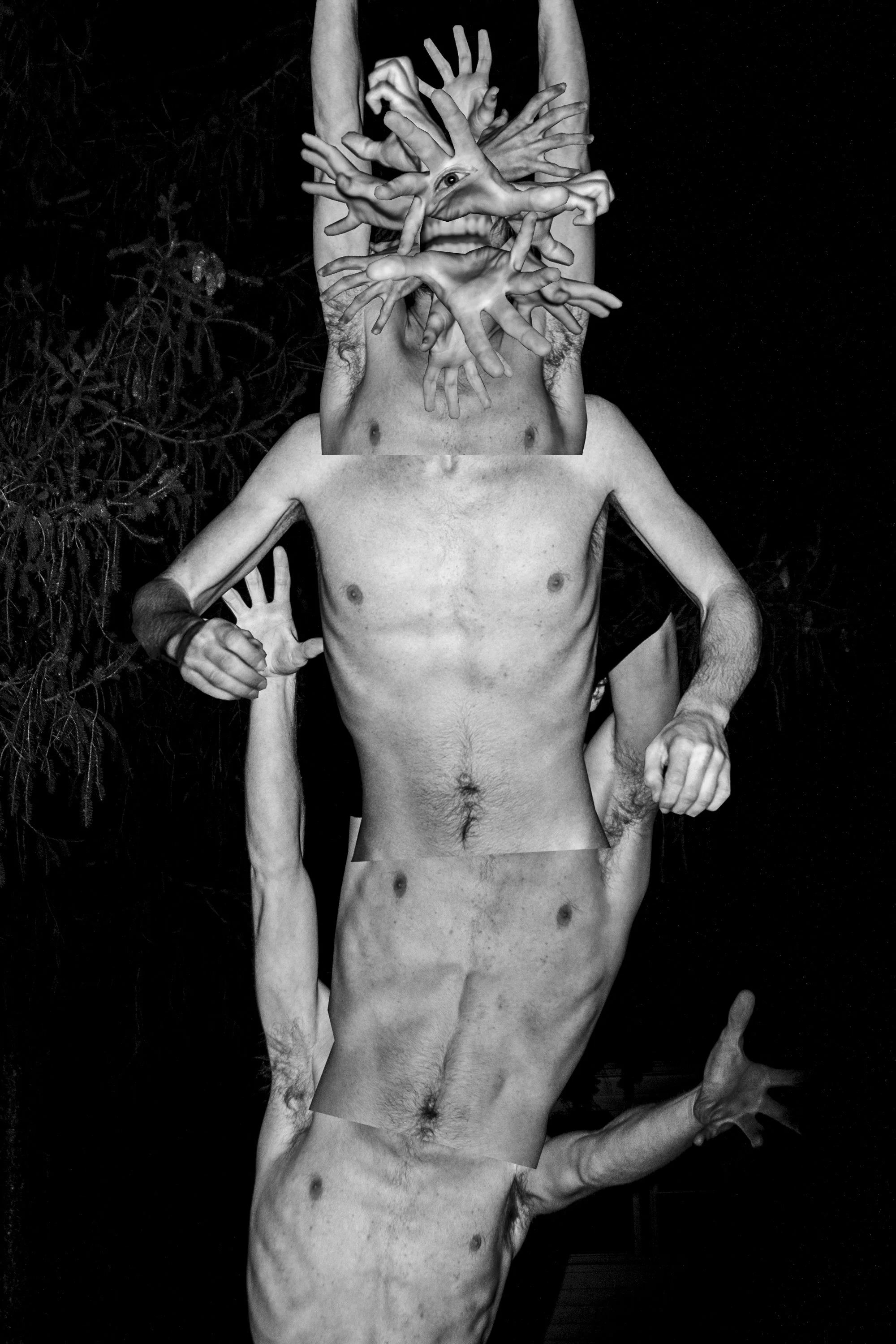 There's A Monster In My Backyard.