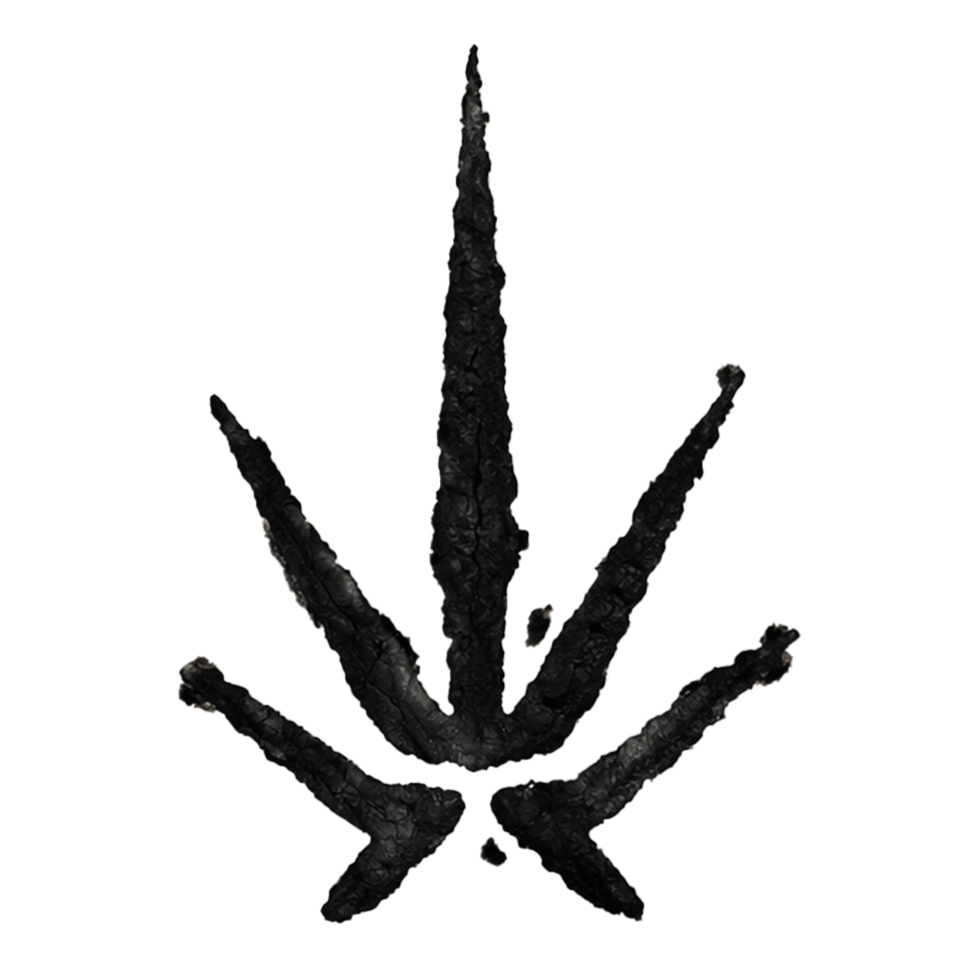 The Tequila Blog Logo