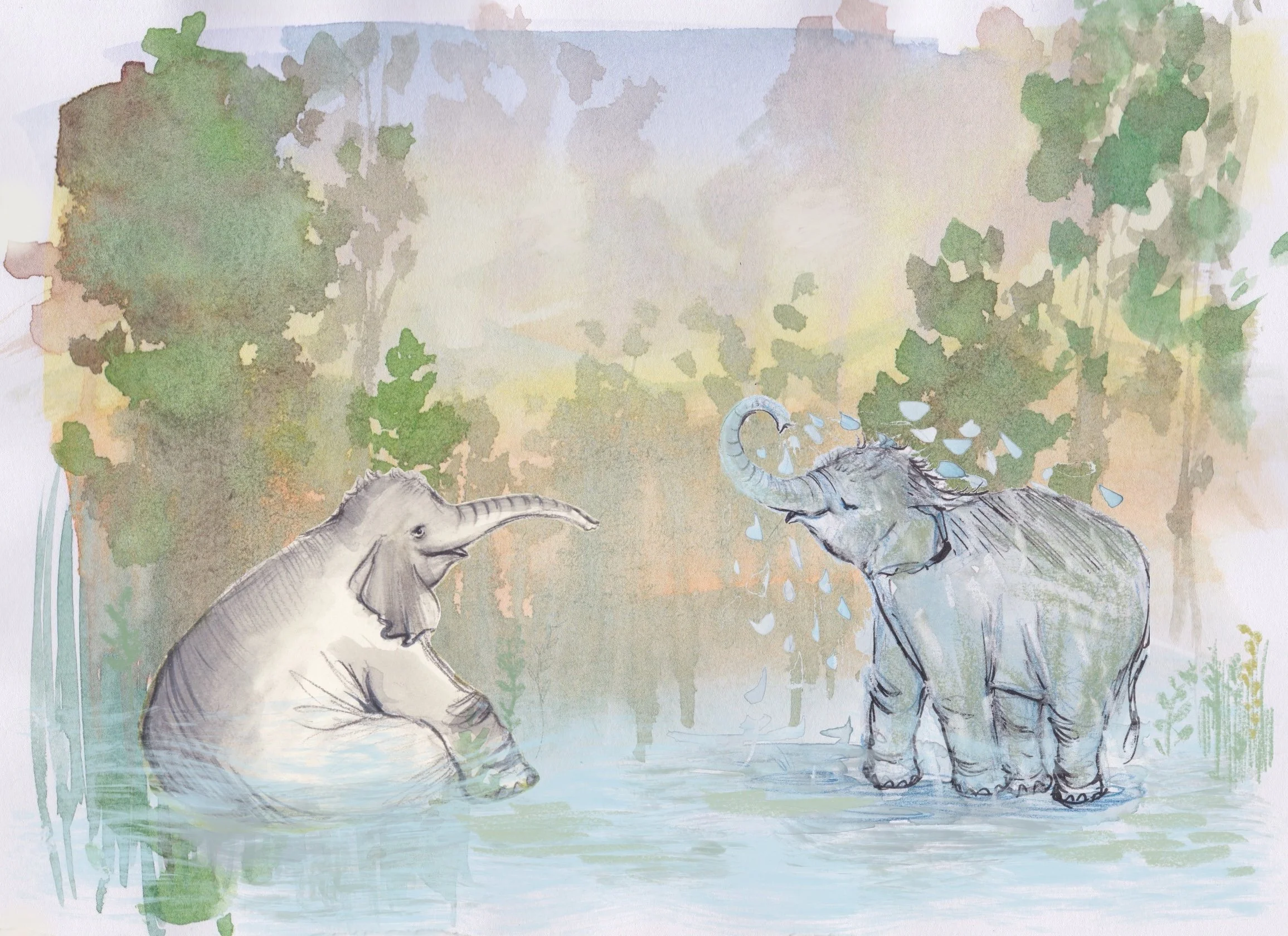 rainforest & elephants playing.jpg