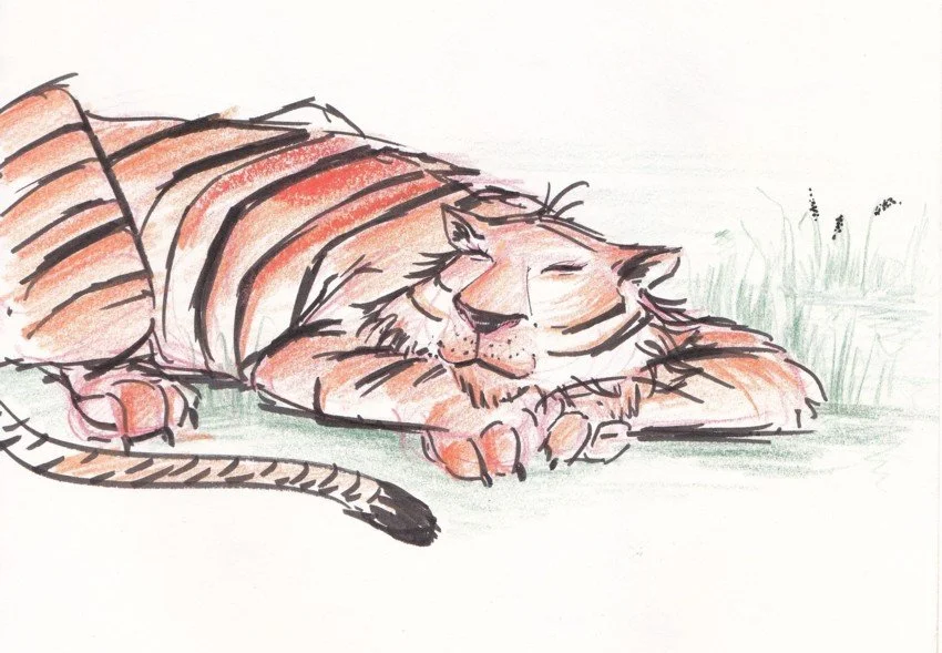 Tiger.jpg