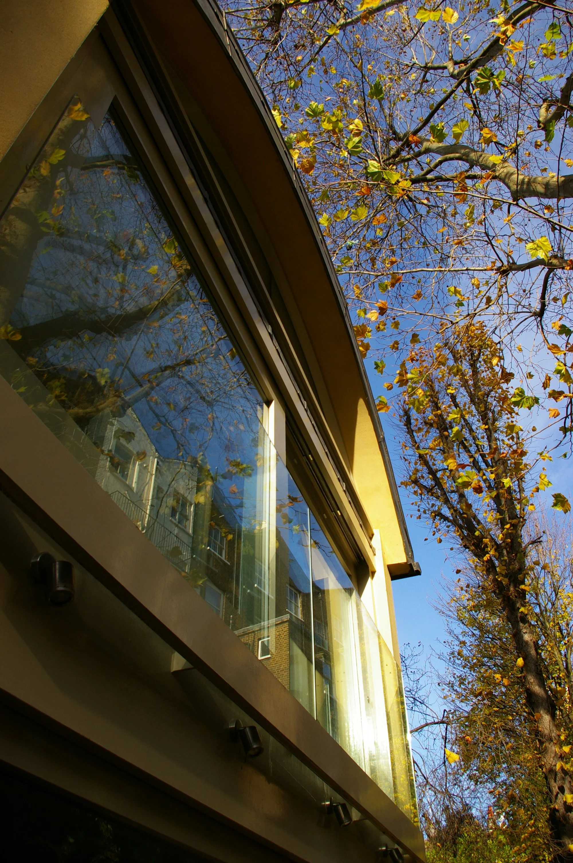 A view from inside a building looking out through a large window. Reflections of trees with yellow and orange leaves and other buildings are visible on the glass. Outside, a blue sky can be seen.