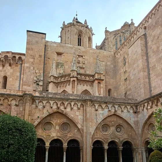 Fachada de la catedral de Tarragona de piedra con arcos y torres, rodeada de vegetación.