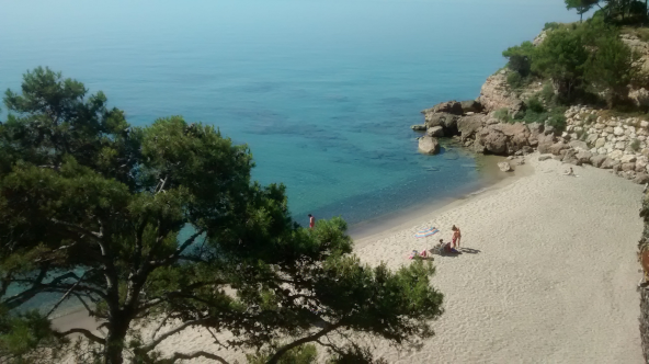 Vista de una playa con arena clara, rodeada de árboles y rocas, con una vista del mar tranquilo y azul.