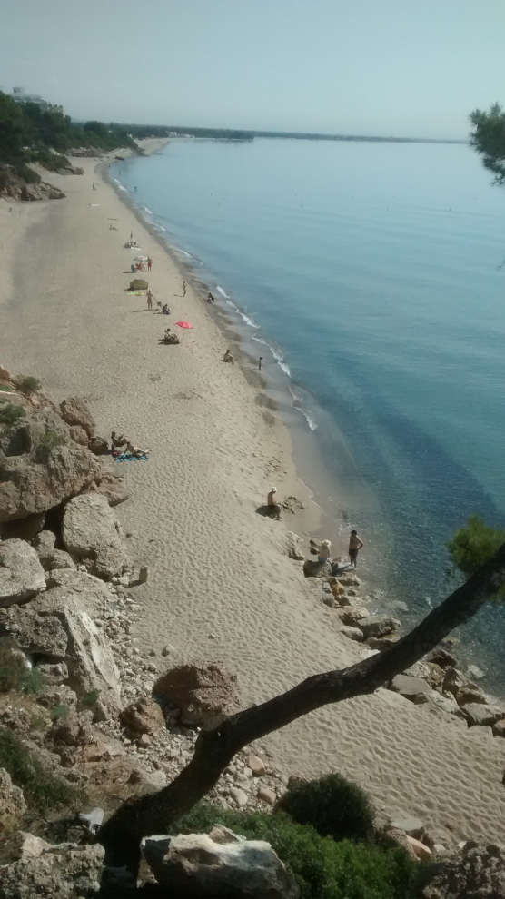 Playa de arena con varias personas tomando el sol y disfrutando del agua, rodeada de rocas y árboles.