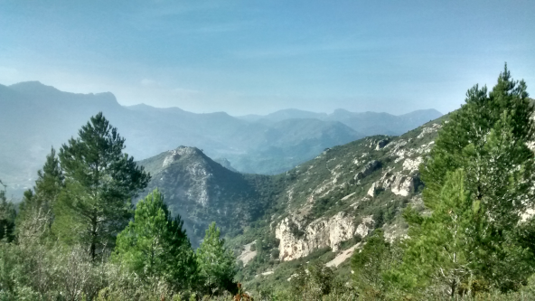 Paisaje montañoso con árboles y picos en el fondo bajo un cielo despejado