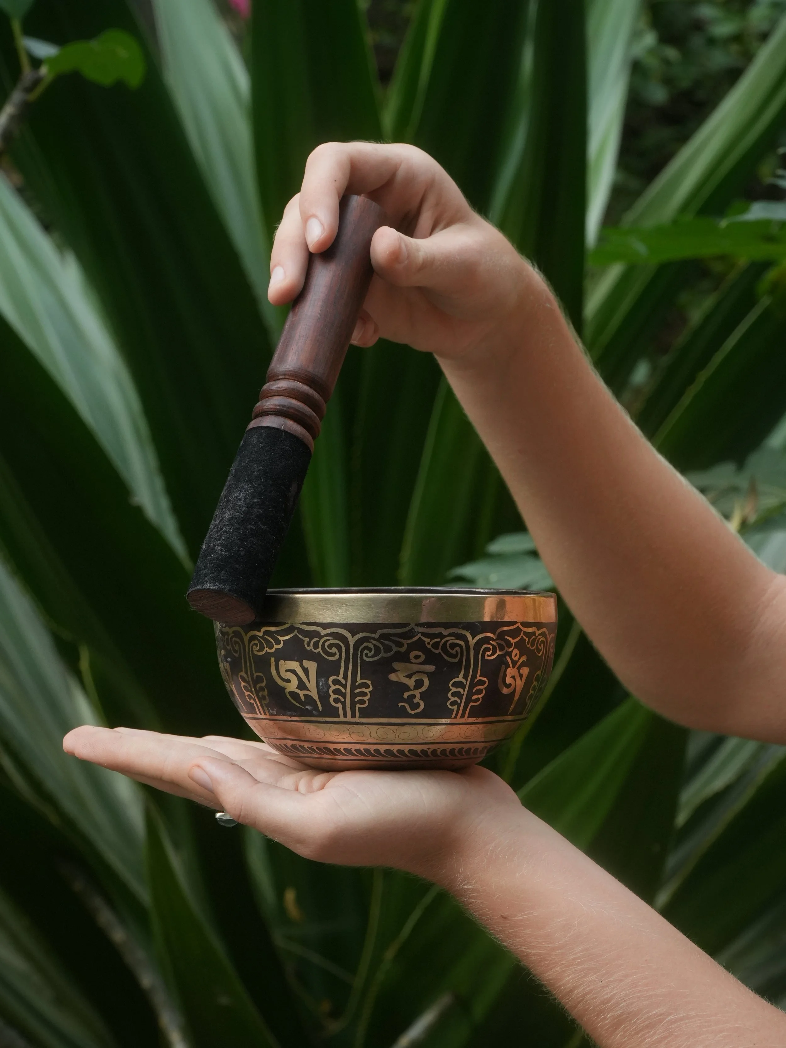 A hand holding a Tibetan singing bowl with a wooden striker, set against green foliage.