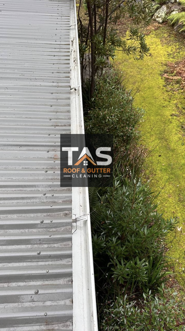 Cleared metal gutter beside a corrugated roof and leafy garden after Standard Gutter Cleaning in Neika, Hobart