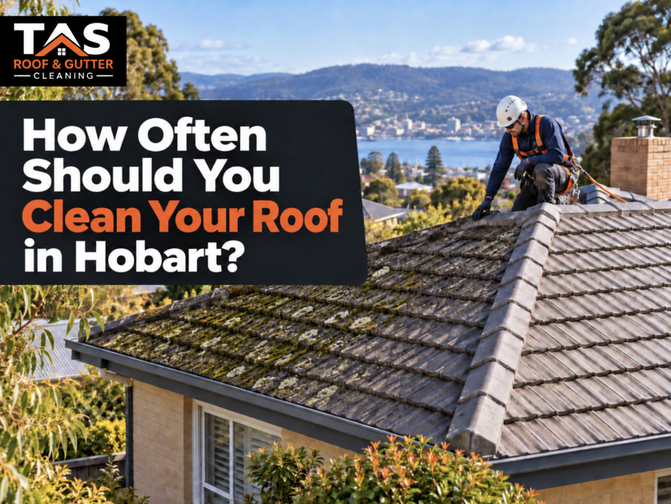 How Often Should You Clean Your Roof in Hobart?