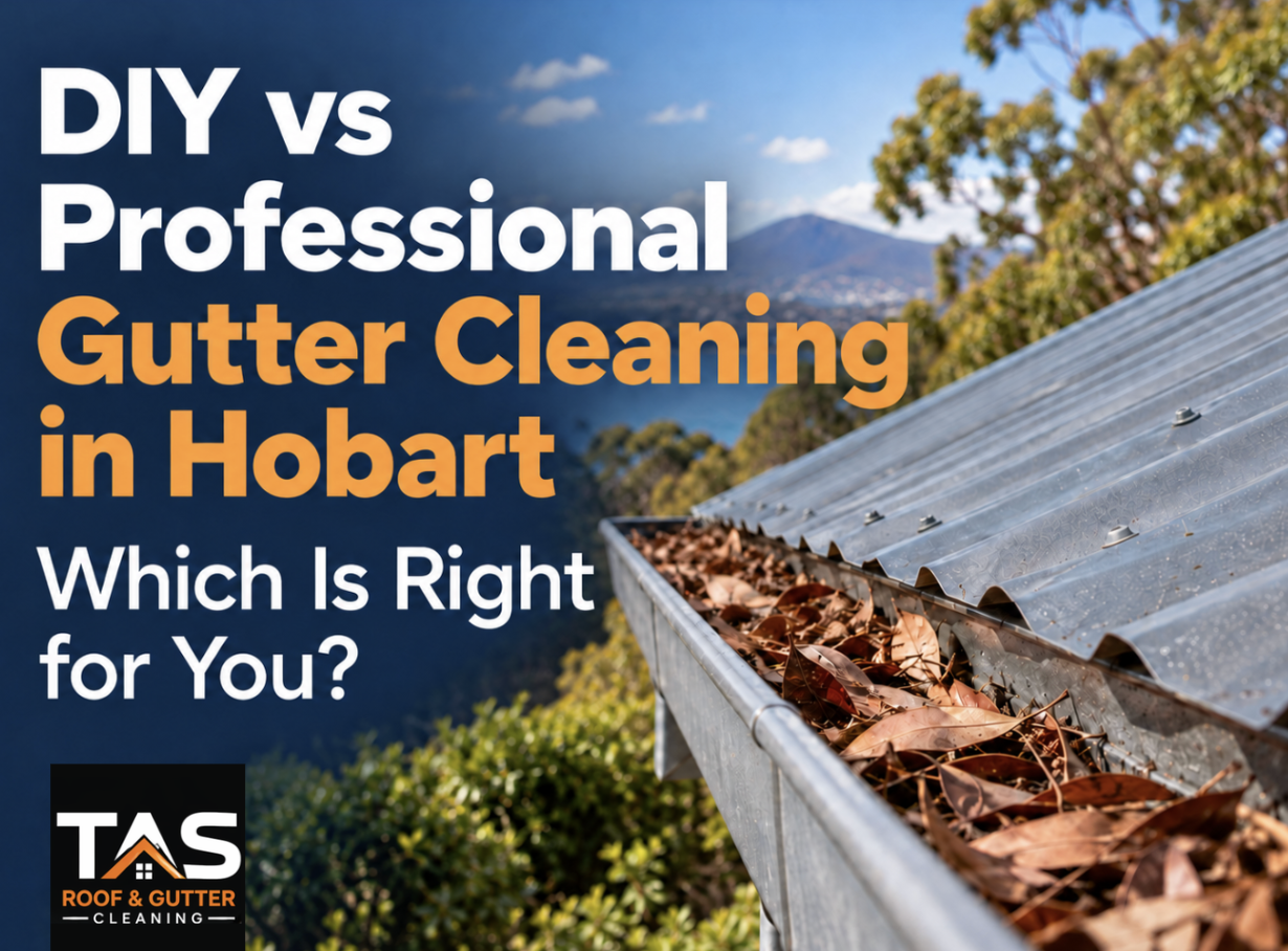 DIY vs Professional Gutter Cleaning in Hobart: Which Is Right for You?