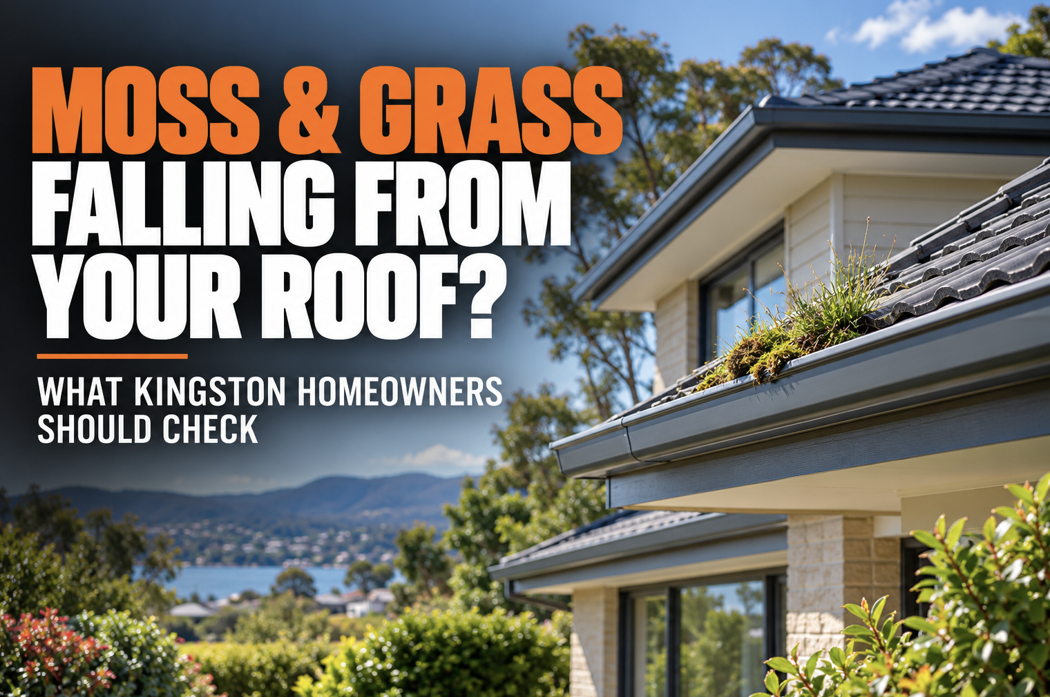 Moss and Grass Falling Off Your Roof in Kingston? Here's What It Means and What to Do
