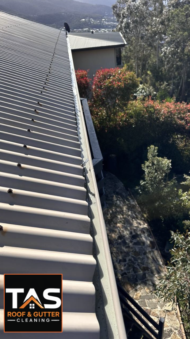 Long section of gutter after cleaning at a West Moonah home in Hobart, overlooking established trees and a garden path.