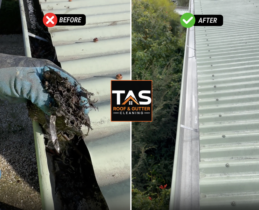 Before-and-after gutter cleaning by TAS Roof & Gutter Cleaning, showing removal of compacted leaves and mud beside a corrugated metal roof.