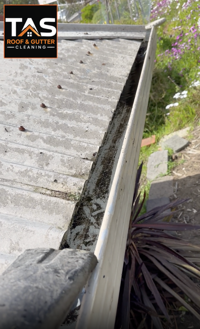 gutter air blow west moonah hobart tasmania