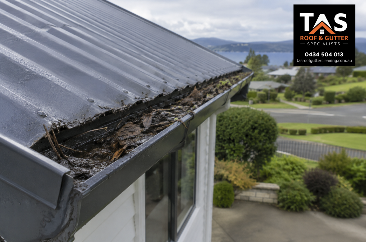 Clogged roof gutter filled with leaves and sludge overlooking Margate, Tasmania