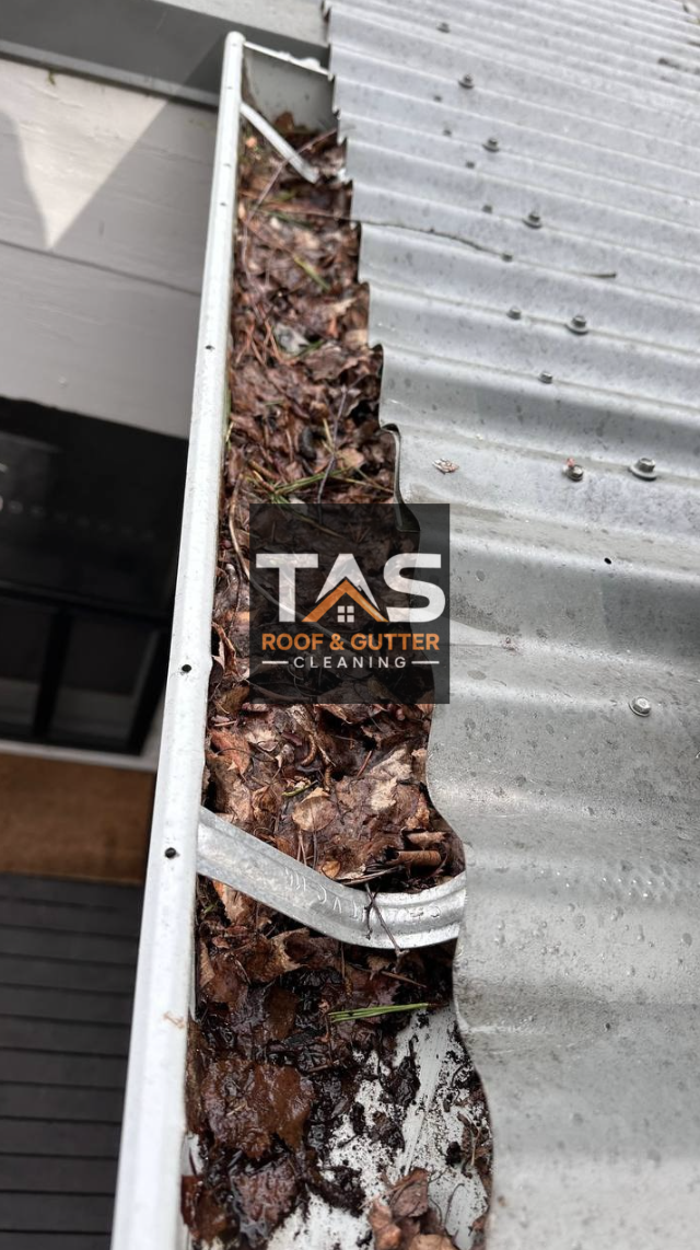 Leaves, twigs and decomposing debris filling a metal gutter before cleaning at a Neika home in Hobart, Tasmania