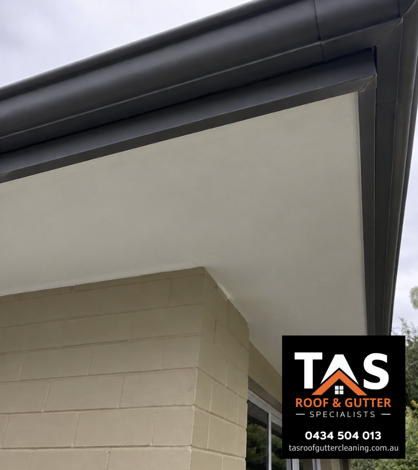 Low-angle view showing the clean soffit, fascia and roof eaves of a Hobart home.