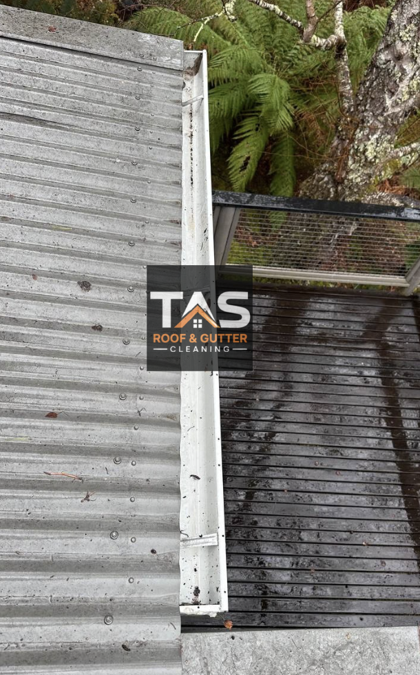 Cleared gutter along the roof edge beside a timber deck and nearby trees at a Neika property.