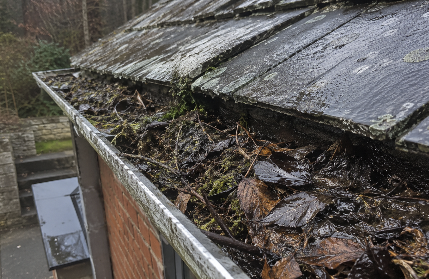 Dirty gutter filled with wet leaves, mud and moss before gutter cleaning in Moonah