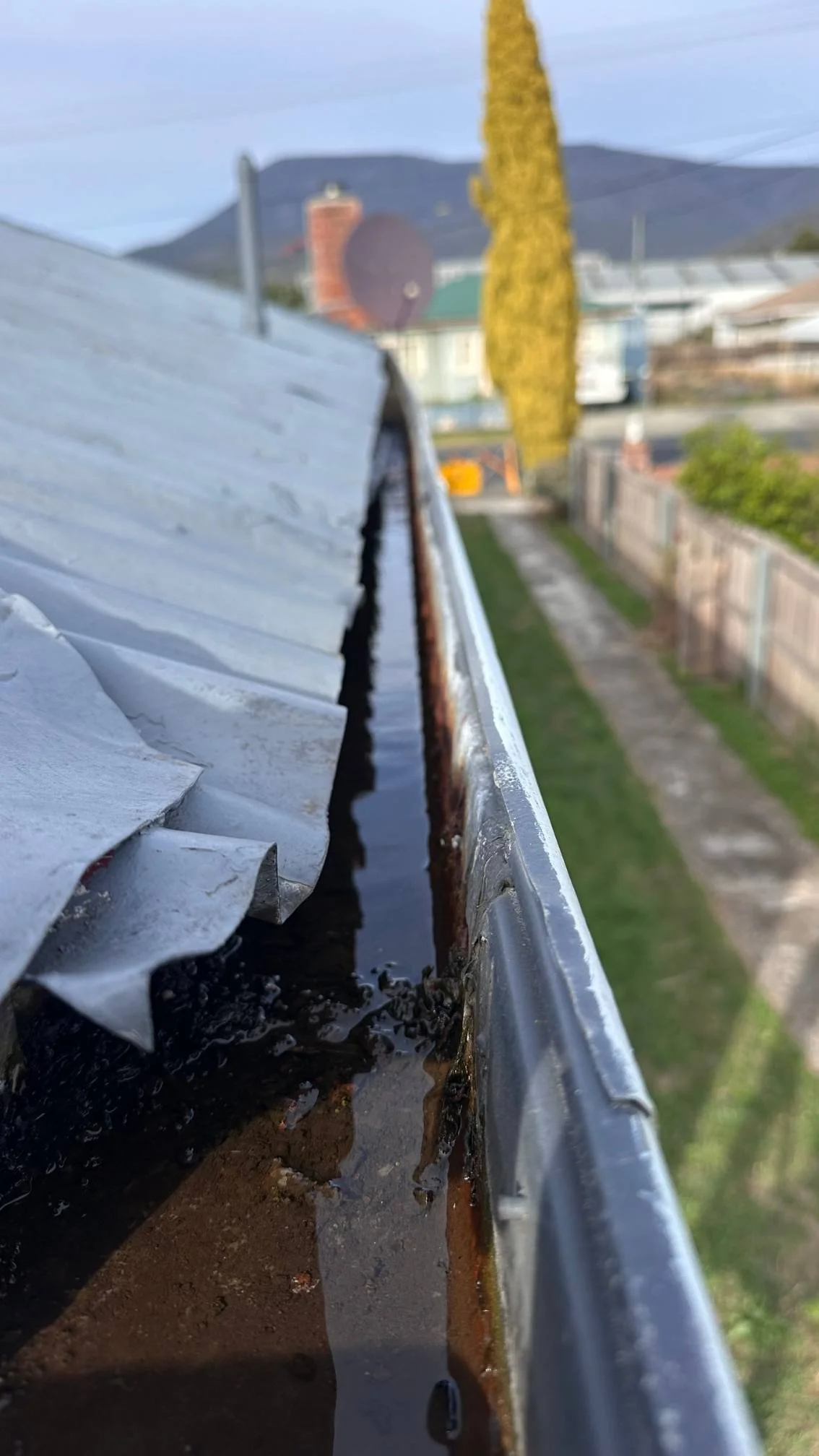 example- gutters metal roof inspection house Hobart  municipality.jpg