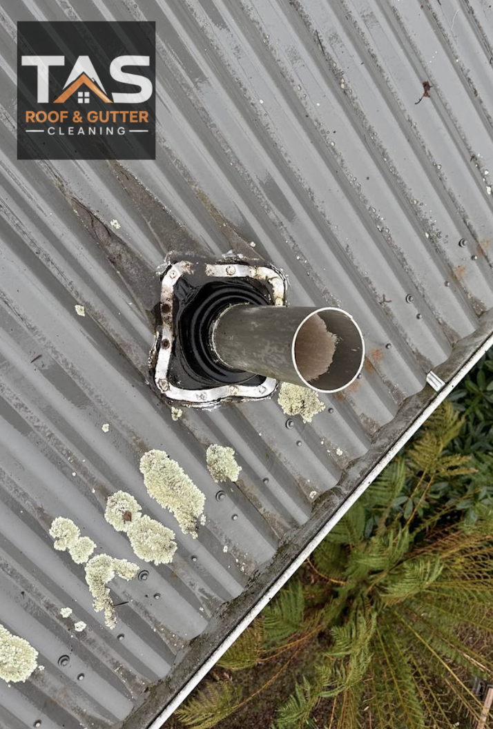 Surface staining and pale patches of growth around pipe flashing on a corrugated metal roof in Neika, Hobart