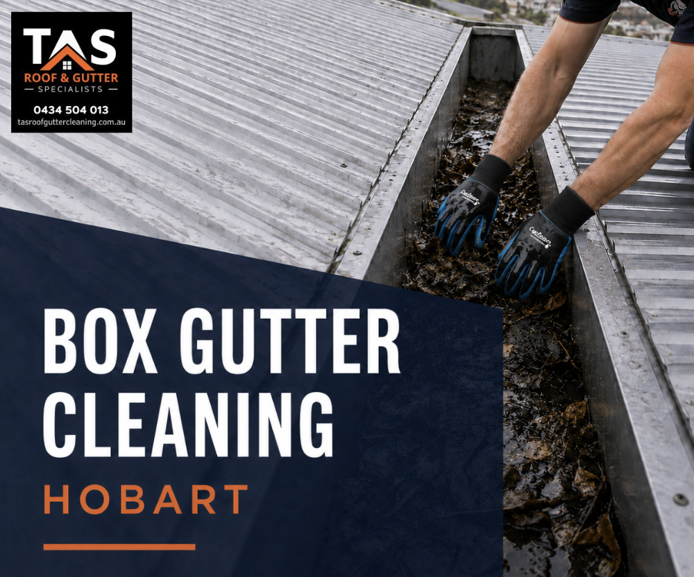 TAS Roof & Gutter Cleaning specialist removing wet leaves and debris from a blocked box gutter on a Hobart roof.